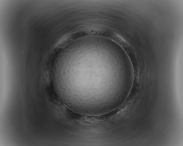 X0000086730774200704201645