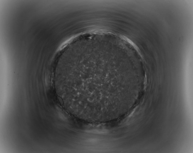 X0000086730775200704201645