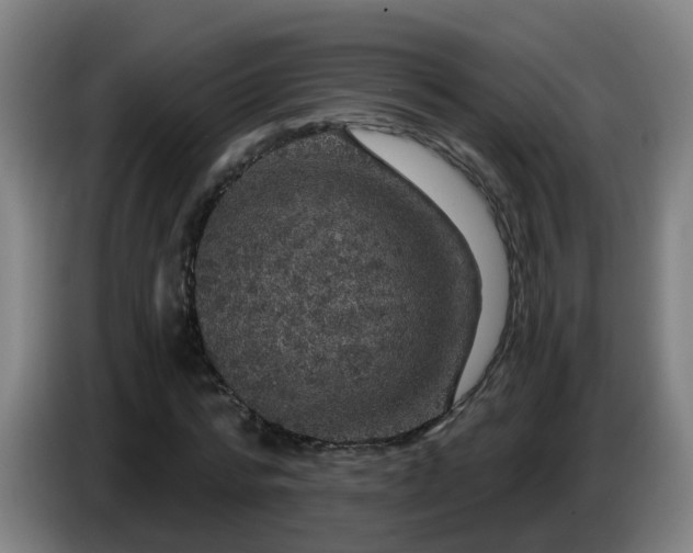 X0000086730776200704201645