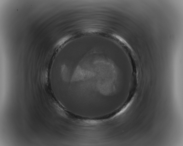 X0000086730777200704201645