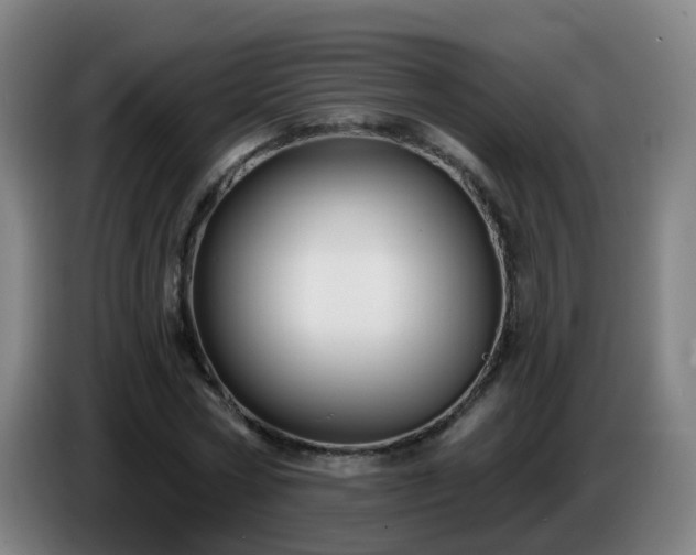 X0000086730778200704201645