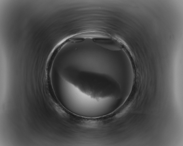 X0000086730779200704201645