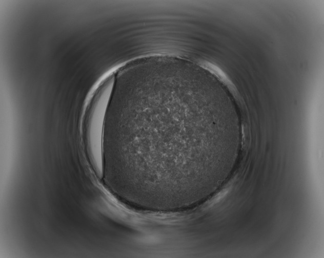 X0000086730780200704201645