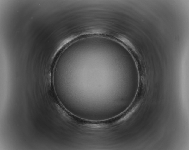 X0000086730781200704201645