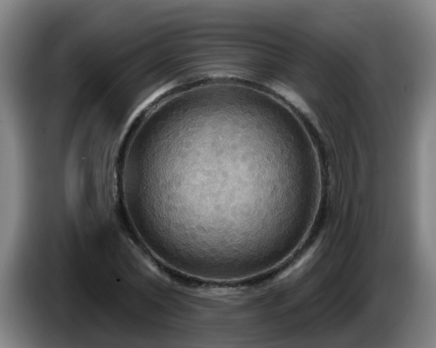 X0000086730782200704201645