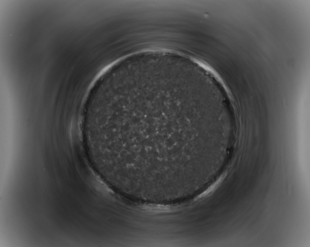 X0000086730783200704201645