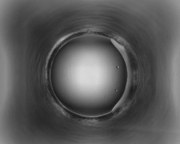 X0000086730784200704201645