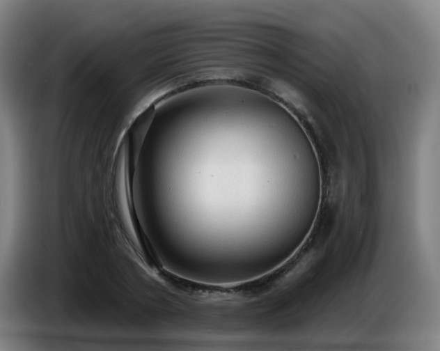 X0000086730786200704201645