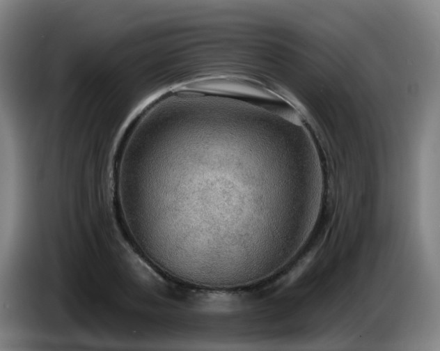 X0000086730787200704201645