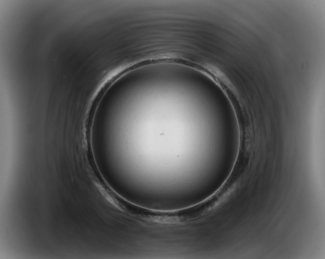 X0000086730789200704201645