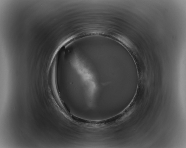 X0000086730790200704201645