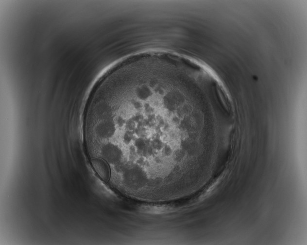 X0000086730791200704201645