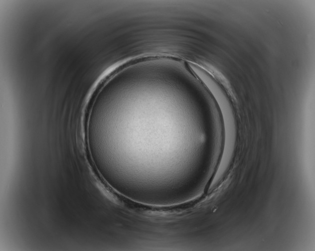 X0000086730792200704201645