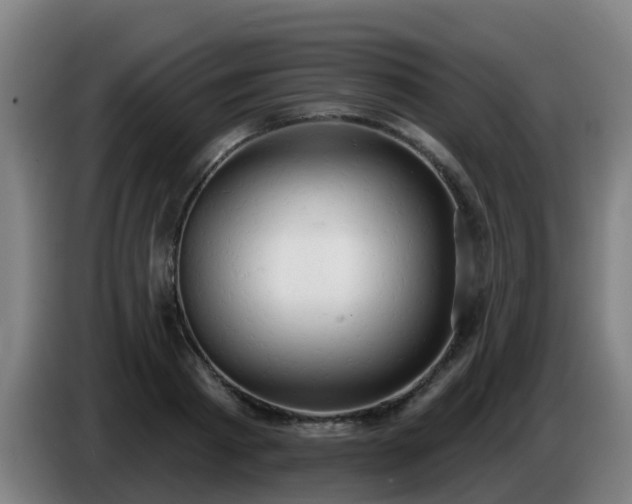 X0000086730793200704201645