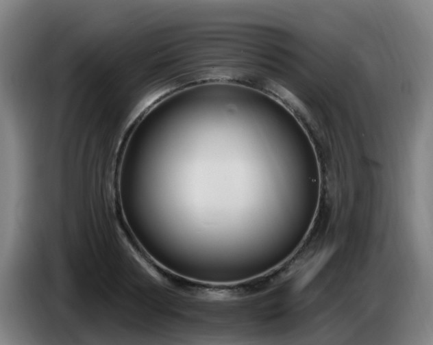 X0000086730794200704201645