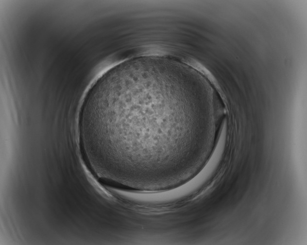 X0000086730795200704201645