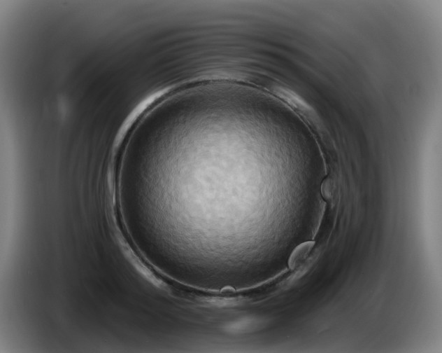 X0000086730796200704201645