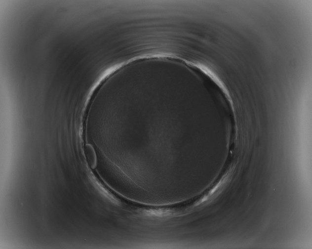 X0000086730797200704201645