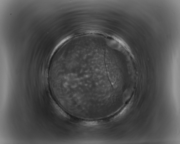 X0000086730798200704201645