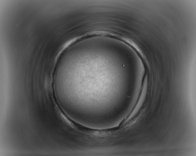 X0000086730799200704201645