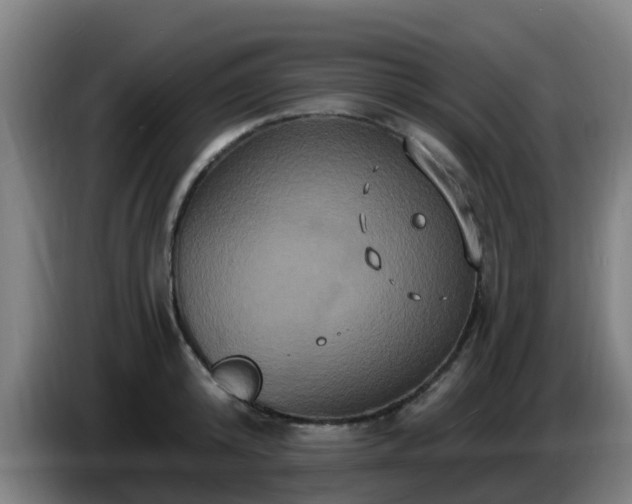 X0000086730800200704201645