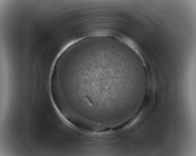 X0000086730803200704201645