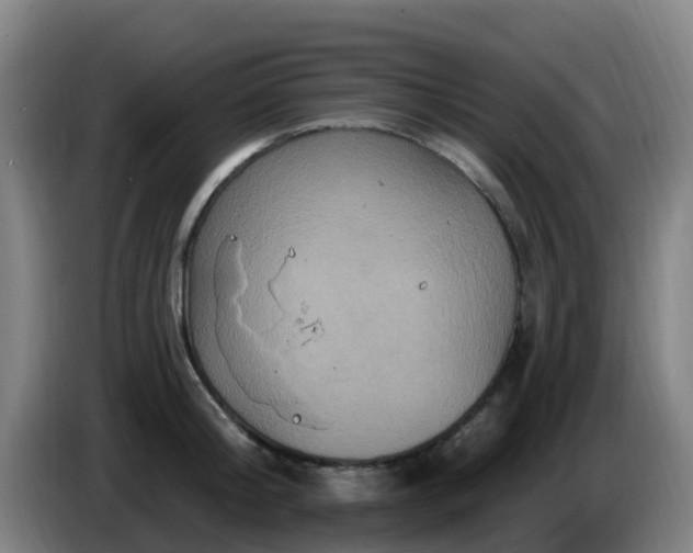 X0000086730804200704201645