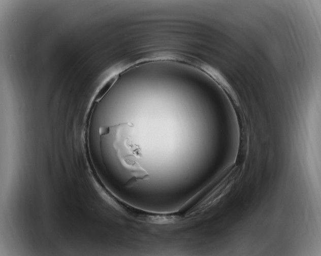 X0000086730805200704201645