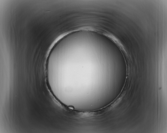 X0000086730808200704201645