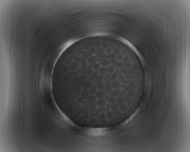 X0000086730810200704201645