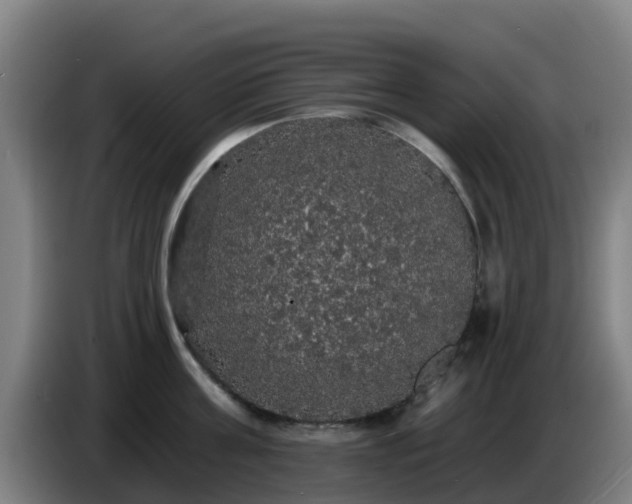 X0000086730811200704201645