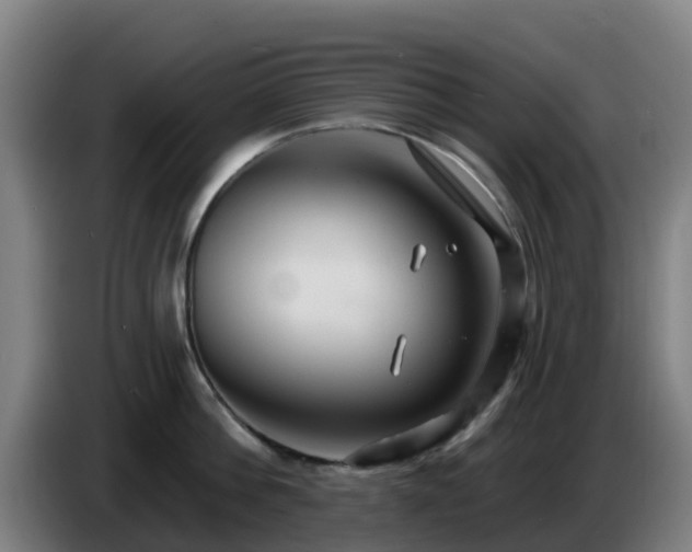 X0000086730812200704201645