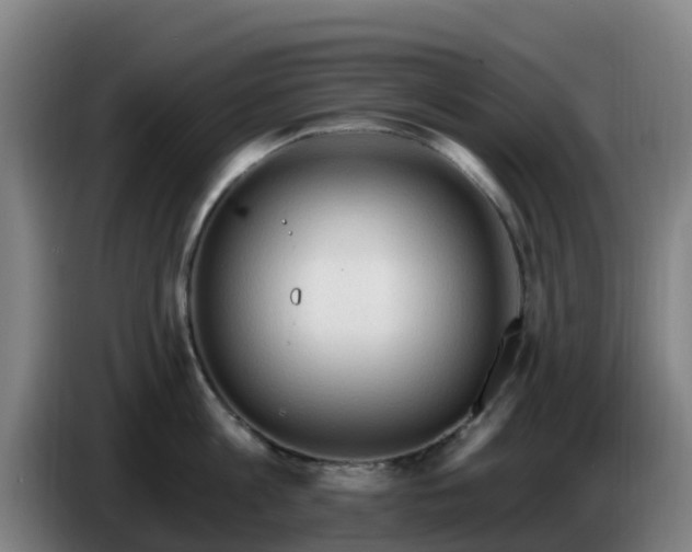 X0000086730813200704201645