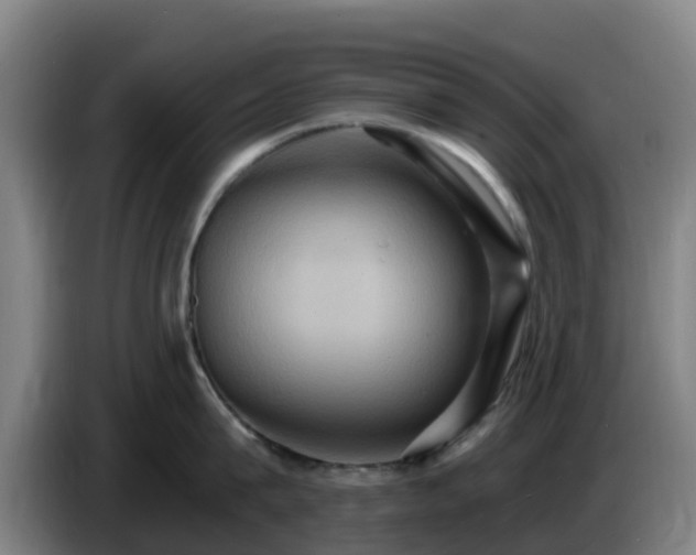 X0000086730815200704201645