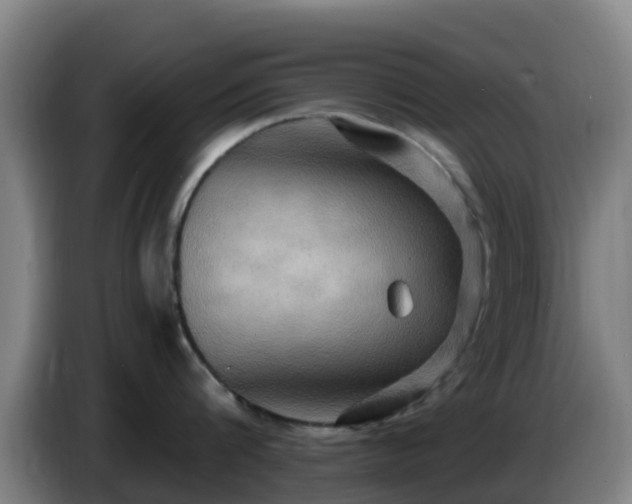 X0000086730816200704201645