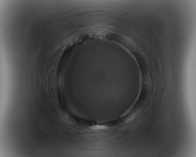 X0000086730818200704201644