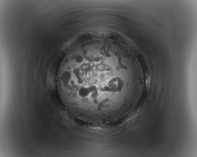 X0000086730819200704201644