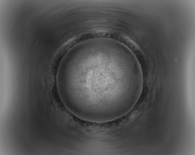 X0000086730821200704201644