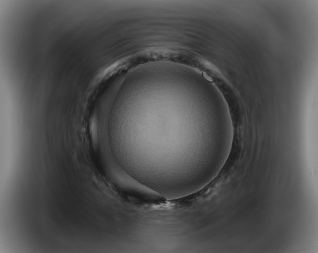 X0000086730822200704201644