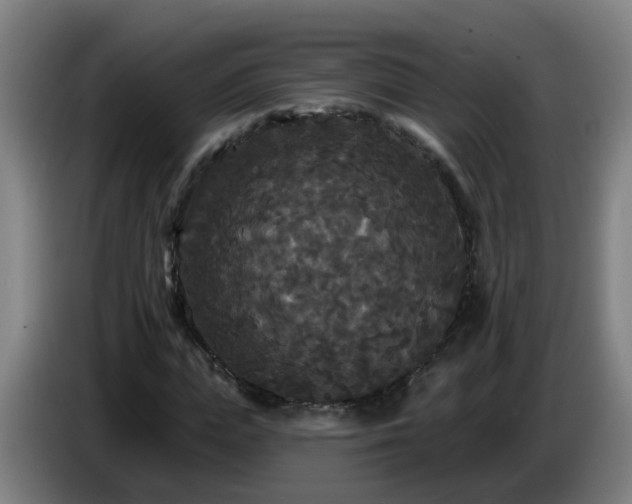 X0000086730823200704201644