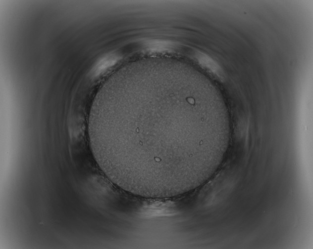 X0000086730824200704201644