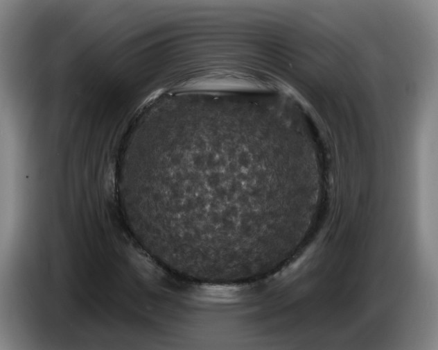 X0000086730825200704201644