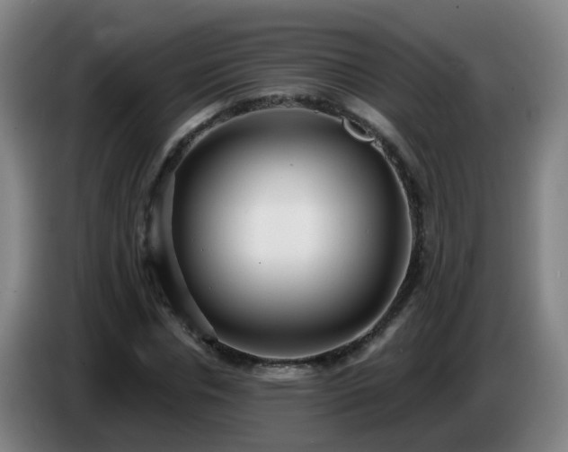 X0000086730826200704201644