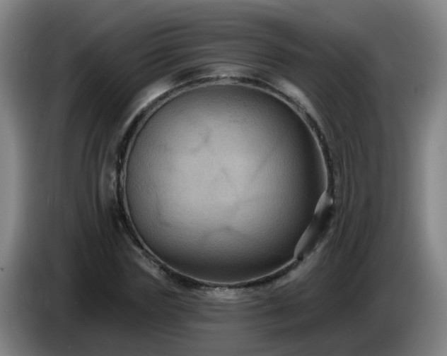 X0000086730827200704201644