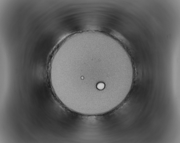 X0000086730828200704201644