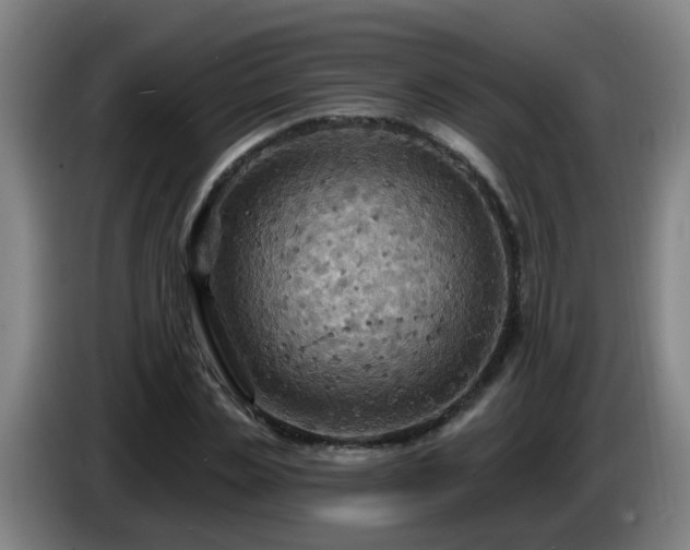 X0000086730829200704201644