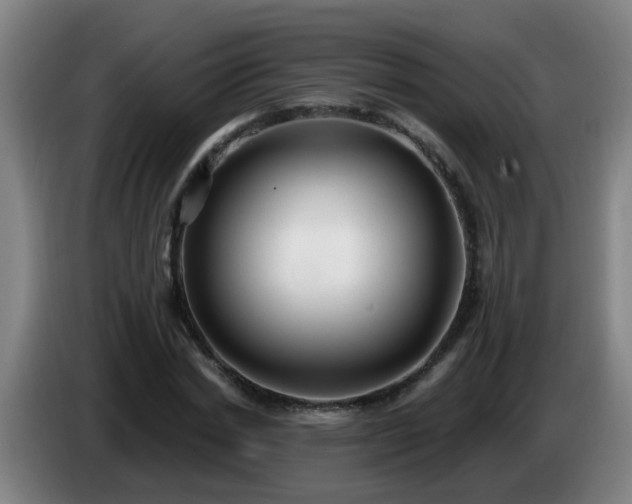 X0000086730830200704201644