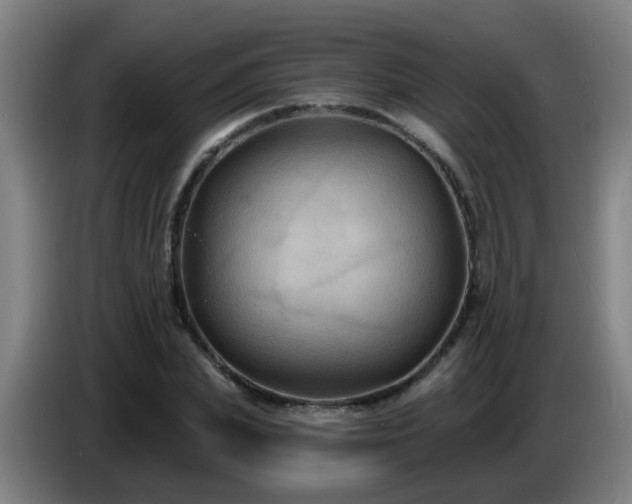 X0000086730831200704201644