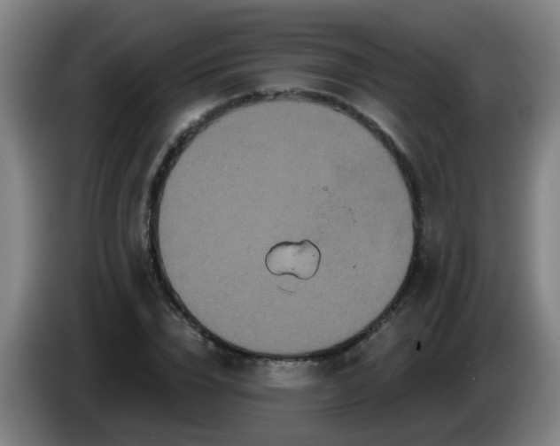 X0000086730832200704201644