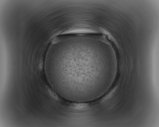 X0000086730833200704201644